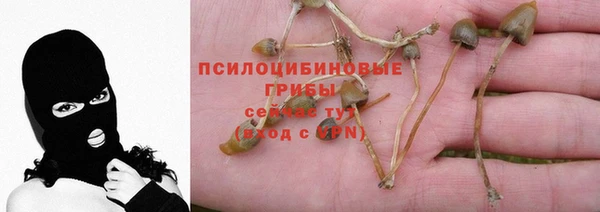 скорость Бородино