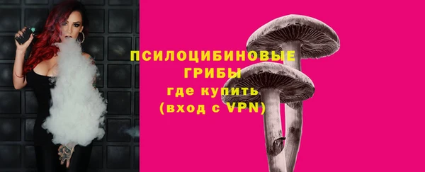 ПСИЛОЦИБИНОВЫЕ ГРИБЫ Бугульма
